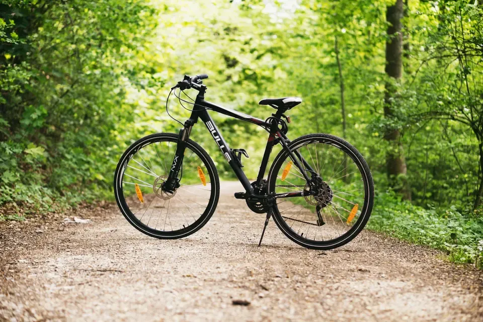 Polkupyörä metsässä